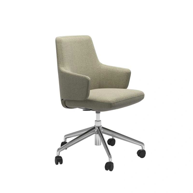 Vanilla Office LB arms