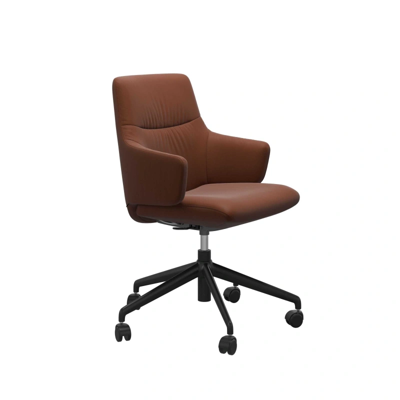 Mint Home Office LB arms